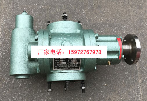 杭州威龍50QZCP-8/5齒輪泵圖片
