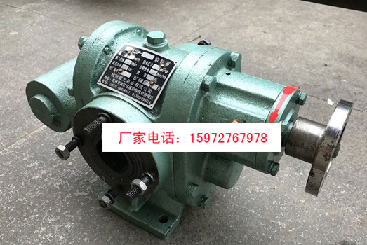 杭州威龍50QZCP-8/5齒輪泵圖片