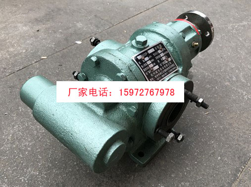 杭州威龍50QZCP-8/5齒輪泵圖片