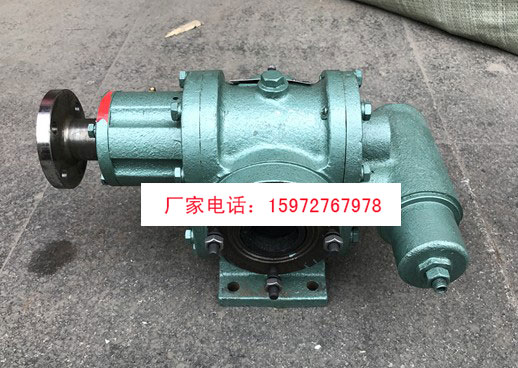 杭州威龍50QZCP-8/5齒輪泵圖片
